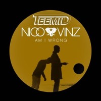 Am I Wrong (TEEMID Bootleg)_TEEMID,Nico,Vins