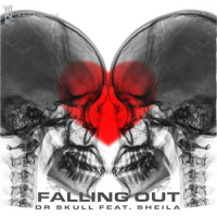 Falling Out(feat. Sheila)_Dr Skull,Sheila