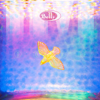 Shiny One_Belly
