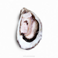 Too Much(feat. Niia)_Pearl,Niia