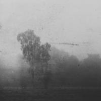 I Am No One_Rivulets,Nathan Amundson