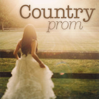 She Loves Me (She Don't Love You)_Gary Allan