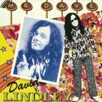 Look Bad Feel Better_David Lindley