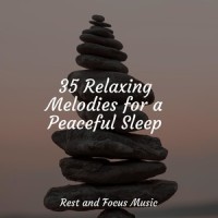 A Time and a Place_Relaxed Minds,Pink Noise,Sleeping Music