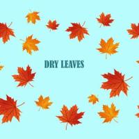 Dry Leaves (Chill Lofi)_Daren