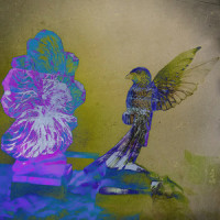 Coal Canary_BB Wisely,Bridget Kearney,Benjamin Lazar Davis,Will Graefe