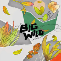 Invincible_Big Wild,iDA HAWK