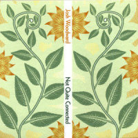 Symmetry and the Pocket of Angels_Josh Woodward