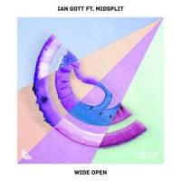 Wide Open(feat. Midsplit)_Ian Gott,Midsplit