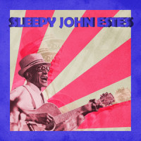 Drop Down(I Don't Feel Welcome Here)_Sleepy John Estes
