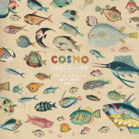 Wriggle_Cosmo Sheldrake