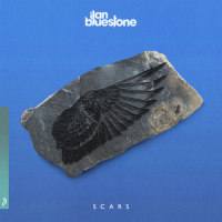 Scars_Ilan Bluestone,Giuseppe De Luca