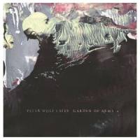 Beach_Peter Wolf Crier