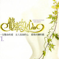 每个爱情都危险_辛晓琪,周华健