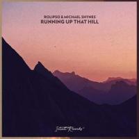 Running Up That Hill_Rolipso,Michael Shynes