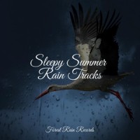 Thunder Rain_Sounds of Nature White Noise for Mindfulness Meditation and Relaxation,Sleepy Times,Massage Tribe