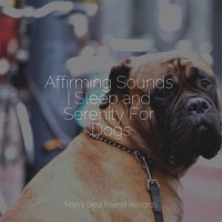 Easy Going_Relaxmydog,Sleepy Dogs,Music for Dog's Ear