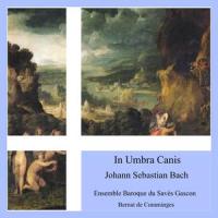 Choralgesänge in A-Sharp Major, BWV 69: Was Gott tut das ist wohlgetan_Ensemble Baroque du Savès Gascon,Johann Sebastian Bach