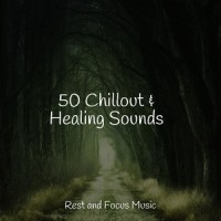 Wet Weather Whispers_The White Noise Zen & Meditation Sound Lab,Spa,Deep Sleep Meditation