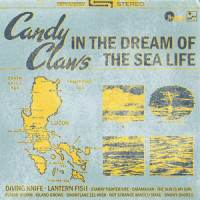 Snowy Shores_Candy Claws