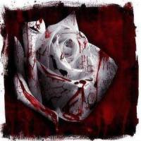 Welcome Christmas_Love Spirals Downwards