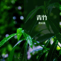 青竹_洛天依