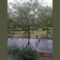 旅顺南路的故事_Jonah