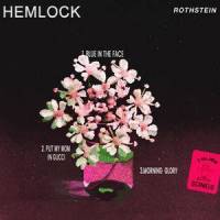 morning glory(feat. Nic Hanson)_Rothstein,Brasstracks,Alexander Lewis,Nic Hanson