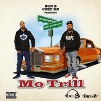 The Streets (feat. Ink)_Bun B,Cory Mo,Ink