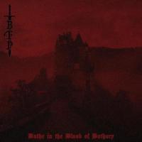 Sanity Before Insanity_Born from Pain