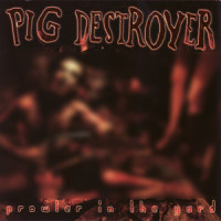 Ghost of a Bullet_Pig Destroyer