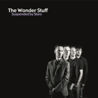 Angelica Maybe_The Wonder Stuff