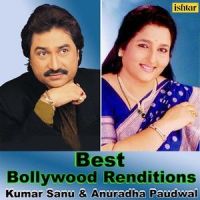 In Nasheeli Ankhon Mein_Anuradha Paudwal,Nitin Mukesh
