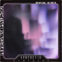 Synthetic Sympathy_Trash Boat