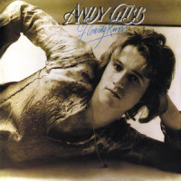 In The End_Andy Gibb