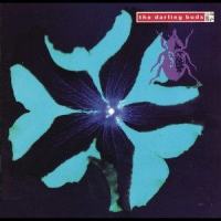 Fall_The Darling Buds