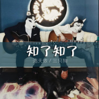 知了知了_洛天依,三只狗