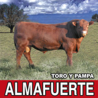 Debes Saberlo_Almafuerte,Ricardo Iorio,Claudio Marciello