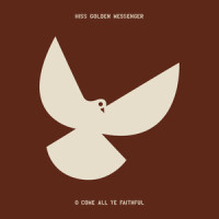 As Long as I Can See the Light_Hiss Golden Messenger