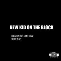 New Kid on the Block_Eazy