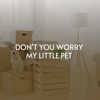 We're Gonna Move_Elvis Presley