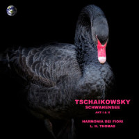 Schwanensee, Act I, Pas de trois : III. Allegro simplice - Presto_L. H. Thomas