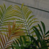 Soothing Sea Sounds_Deep Sleep,Kinderlieder-Superstar,Study Power
