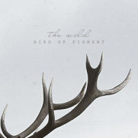 The Wild_Bird Of Figment
