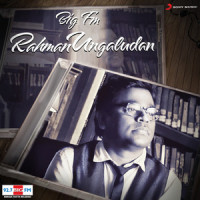 Mersalaayitten_A. R. Rahman,Anirudh Ravichander,Neeti Mohan
