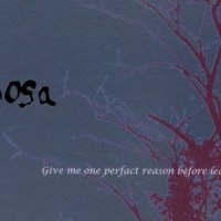 旭_mimosa