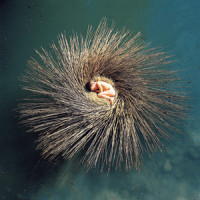 Make Tomorrow_Peter Gabriel