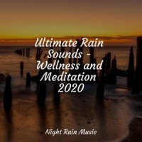 Thunder Rain_Pro Sounds of Nature,Sleepy Times,Reiki Music