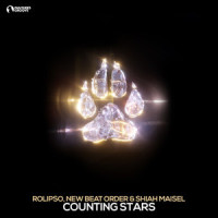 Counting Stars_Rolipso,New Beat Order,Shiah Maisel