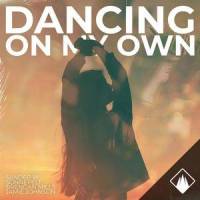 Dancing On My Own(feat. Jamie Johnson)_Sander W.,Sönnefelt,Brendan Mills,Jamie Johnson